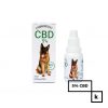 Olej Cannabispet CBD dla zwierząt