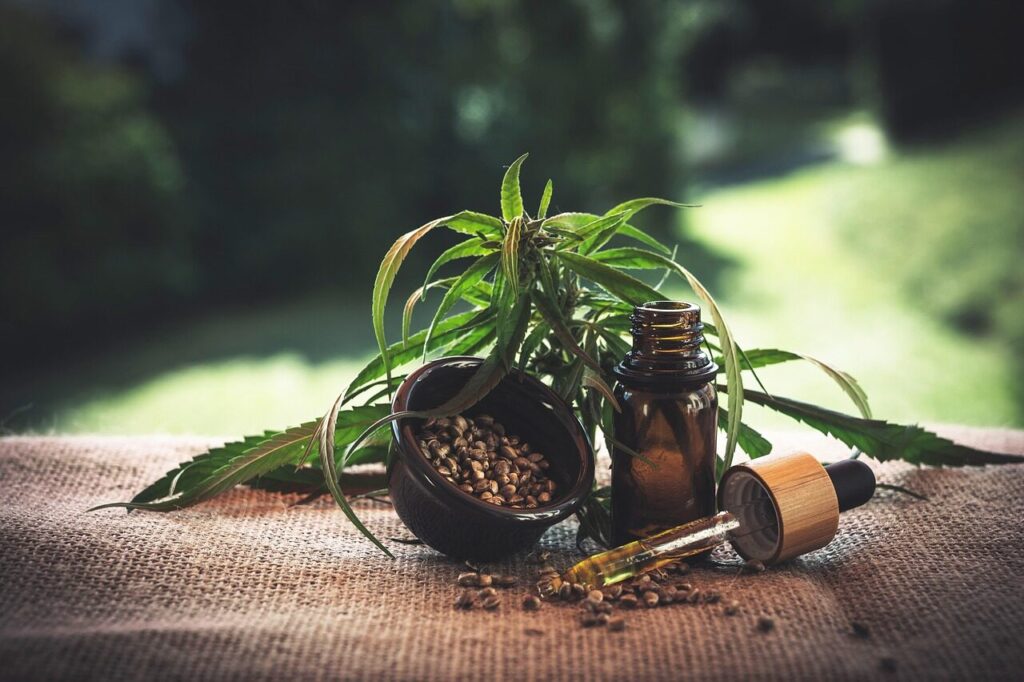 Nasiona konopi jako wartościowy składnik codziennej kuchni i świadomych wyborów konsumenckich cbd, cannabidio, cbd oil, hemp oil, weed, hemp, cannabinoid, oil, health, thc, medical, green