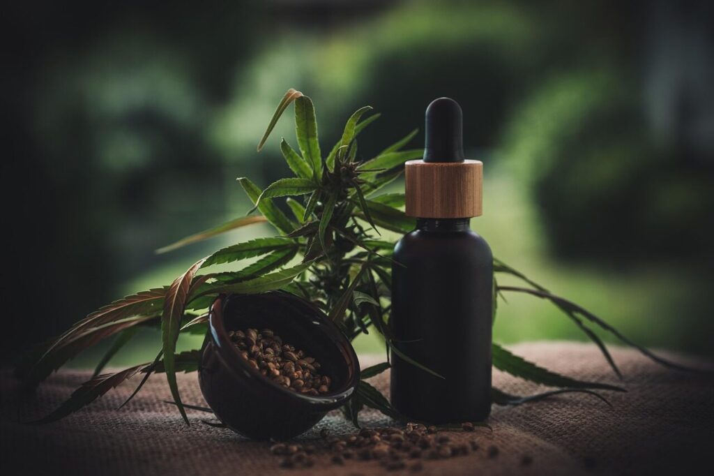 Kannabinoidy – czym są i jak działają w organizmie oraz produktach konopnych cbd öl, cbd oil, oil, cbd, superfood, cannabidiol, hemp, weed, health, hanf, cbd oil, cbd oil, cbd oil, cbd oil, cbd oil, cbd, cbd, cbd, cbd