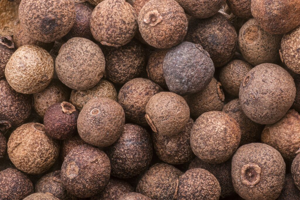 pexels 224804231 11994207 scaled 1